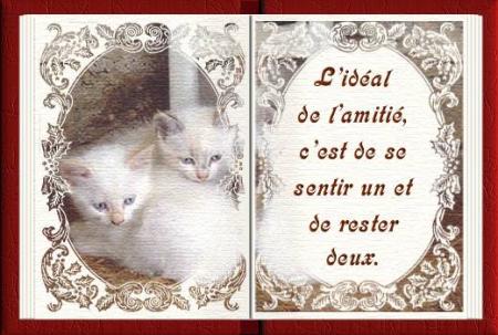 Pour cette fin de semaine